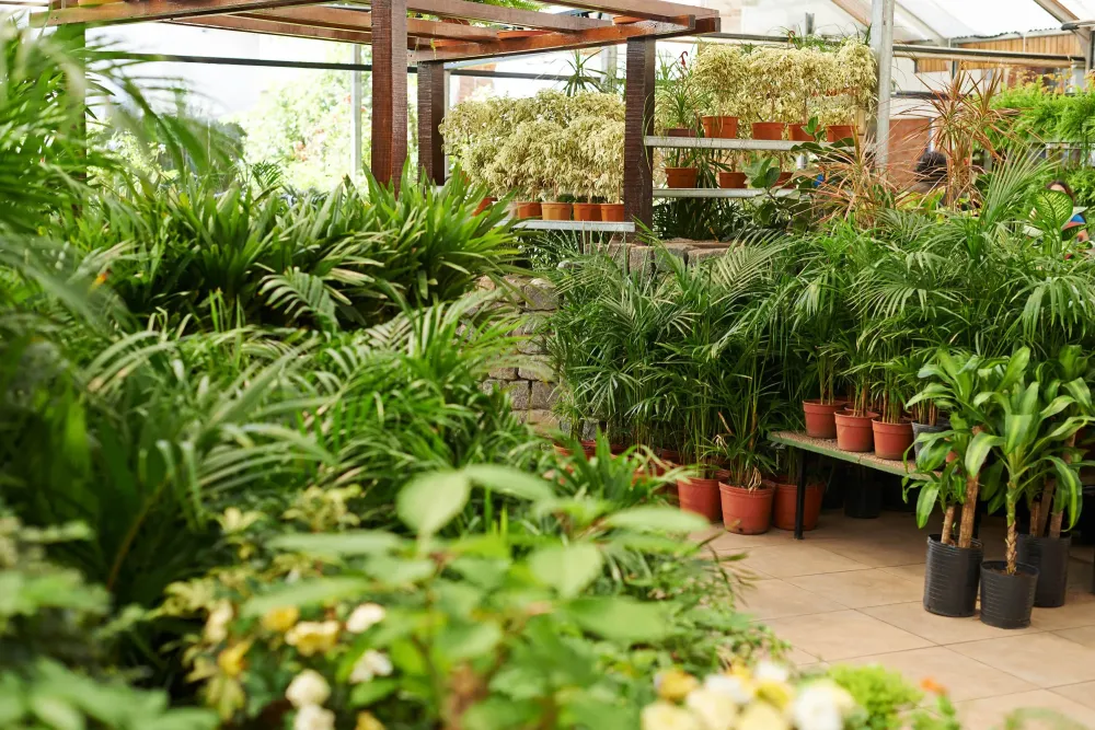 Jardinerie près de Aulnay
