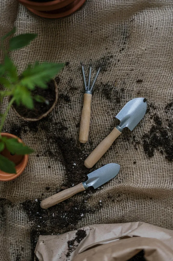 Outils de jardin près de Aulnay